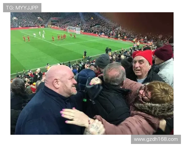 英超球队球迷数量排名